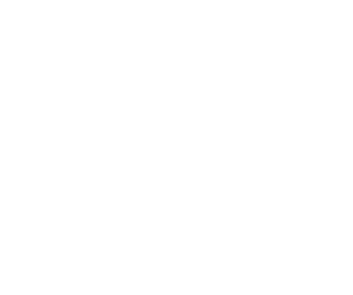 deutsche_glasfaser_logo_icon